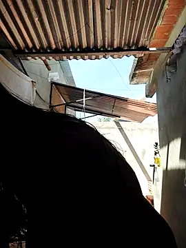 room 24funn online show from October 9, 2025, 2:59 pm