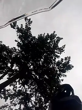 drencho0729 online show from February 18, 2026, 1:51 pm