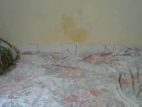 Zenath  online show from February 27, 2026, 8:58 am