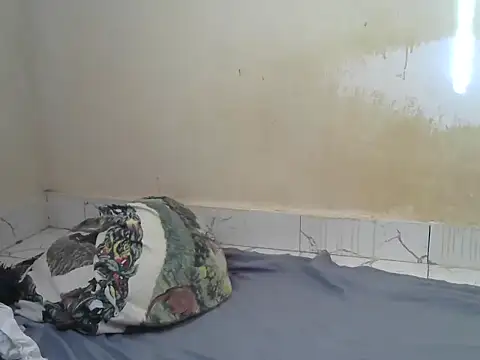 Snapshot of Zenath_ chatting on July 18, 2026, 5:11 am Zenath online show from July 18, 2026, 5:11 am