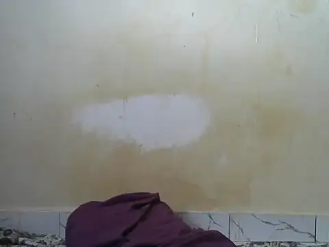 Snapshot of Zenath_ chatting on July 30, 2026, 4:55 am Zenath online show from July 30, 2026, 4:55 am