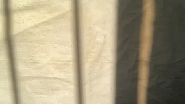 Snapshot of beforeyou69 chatting on November 6, 2025, 8:04 am beforeyou69 online show from November 6, 2025, 8:04 am