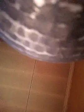 SashaahXXX online show from February 12, 2026, 3:40 pm