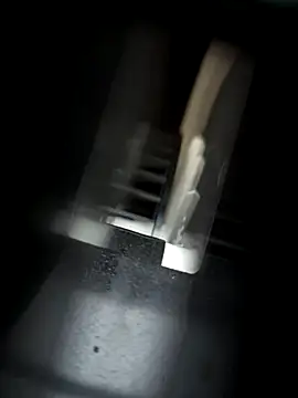 Snapshot of RYOTA8888888888 chatting on September 22, 2025, 2:46 am RYOTA8888888888 online show from September 22, 2025, 2:46 am