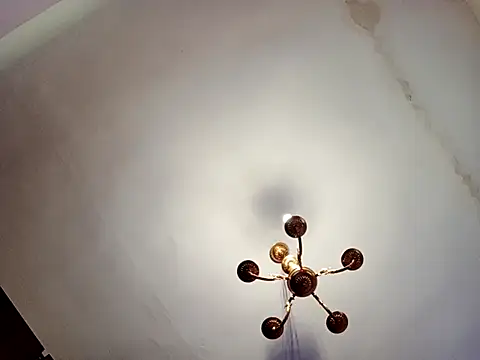 katymojadit online show from March 13, 2025, 1:29 pm