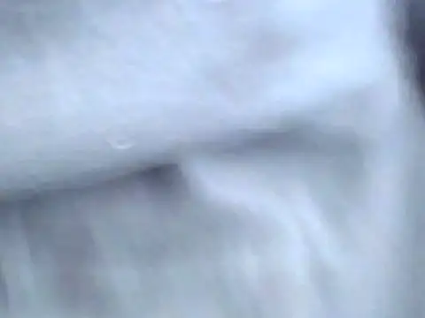 Snapshot of Bootiq chatting on October 22, 2025, 9:53 am Bootiq online show from October 22, 2025, 9:53 am