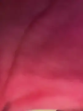 izanmiller2001 online show from October 8, 2025, 7:33 pm