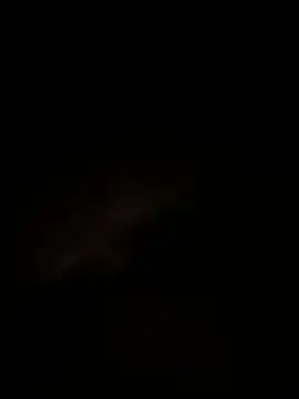 andres66152 online show from July 13, 2026, 3:09 am