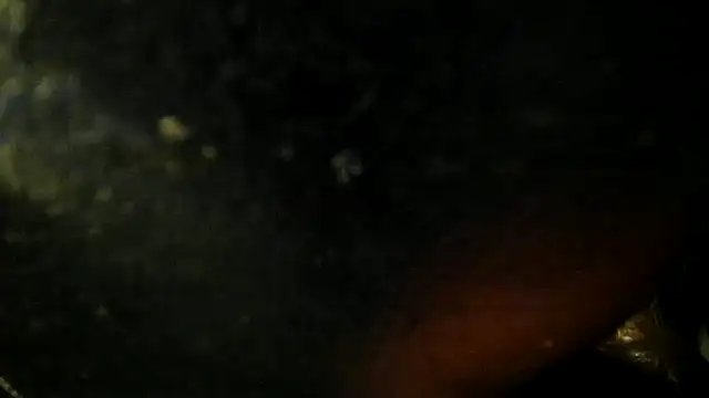 Snapshot of leatherz69 chatting on May 22, 2026, 2:40 am leatherz69 online show from May 22, 2026, 2:40 am