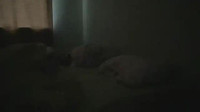 Diamond Tyler online show from February 3, 2025, 4:57 am