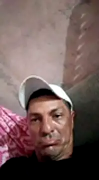 simulador69 online show from December 15, 2024, 11:55 am