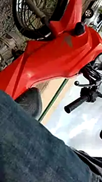 simulador69 online show from January 5, 2025, 7:17 pm