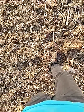 Snapshot of murokkk31 chatting on September 30, 2025, 1:49 pm murokkk31 online show from September 30, 2025, 1:49 pm