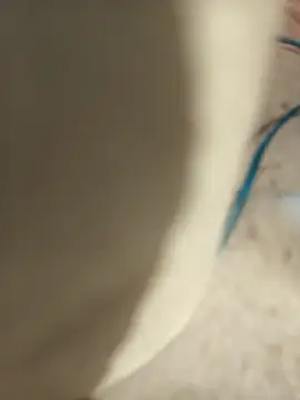 cachondoyardiente online show from March 16, 2025, 2:00 pm