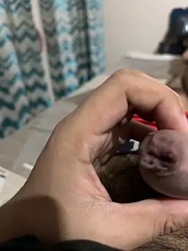 Snapshot of thecockybouy chatting on March 1, 2025, 4:37 am thecockybouy online show from March 1, 2025, 4:37 am