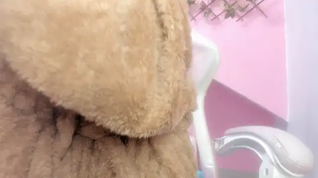 Snapshot of meribeth303av chatting on December 22, 2024, 2:17 am meribeth303av online show from December 22, 2024, 2:17 am