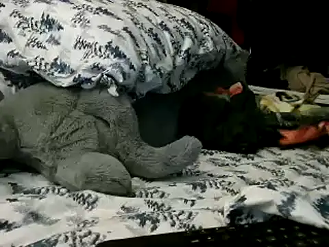 Snapshot of WHITEDAROSE chatting on January 15, 2025, 2:13 pm WHITEDAROSE online show from January 15, 2025, 2:13 pm