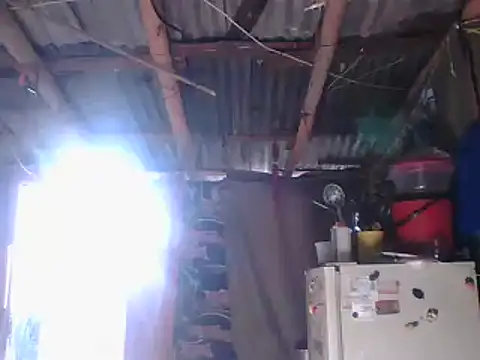 Alanagracia online show from January 14, 2025, 12:56 pm