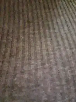 Snapshot of lamorbosa37 chatting on February 10, 2026, 8:13 pm lamorbosa37 online show from February 10, 2026, 8:13 pm