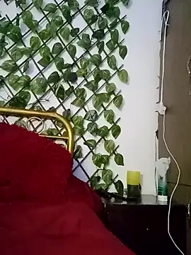 amatista 3012 online show from October 13, 2025, 11:54 am