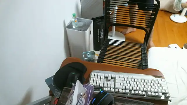 Stellan 0412 online show from February 13, 2026, 5:31 pm