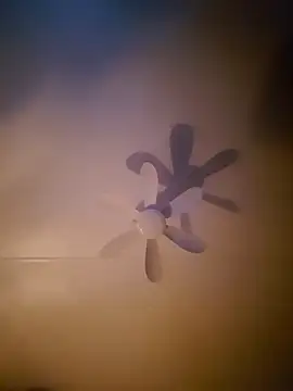 Dorset8360 online show from November 18, 2025, 2:17 am