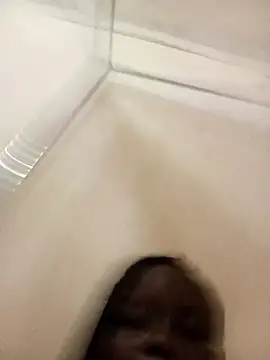 cindysasha11 online show from November 10, 2025, 5:45 pm