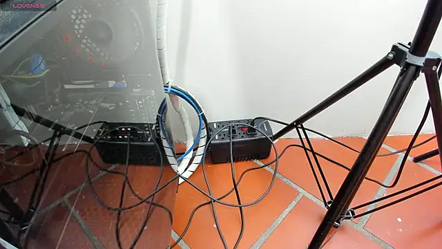 tossetrech online show from December 17, 2025, 3:01 am