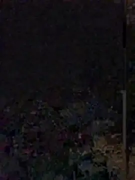 Snapshot of Yoko0381 chatting on June 12, 2026, 5:39 am Yoko0381 online show from June 12, 2026, 5:39 am