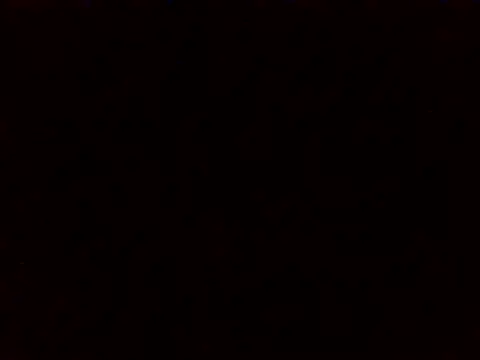 XXXdonXXX online show from February 14, 2026, 8:00 am