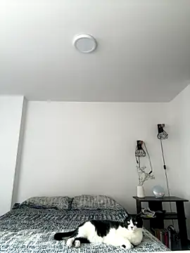 Snapshot of SofiaG_ chatting on October 4, 2025, 7:01 pm SofiaG  online show from October 4, 2025, 7:01 pm