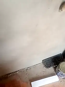 taradobbsafadok online show from December 5, 2024, 4:55 pm