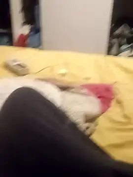 taradobbsafadok online show from October 25, 2025, 11:32 pm