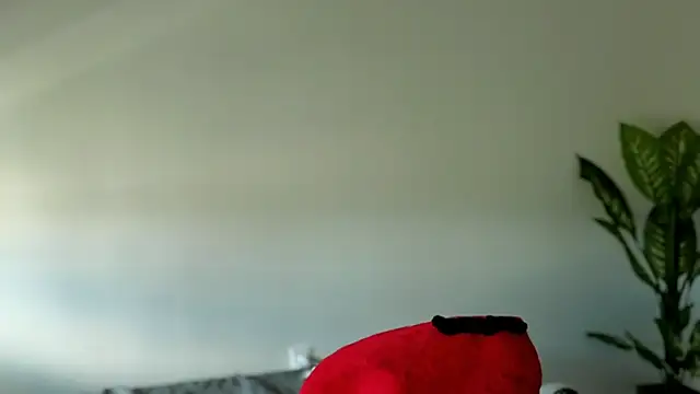 Sapphir3xoxo online show from September 24, 2025, 3:15 pm