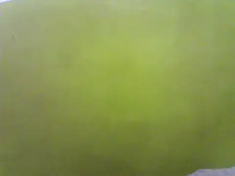 Snapshot of Claris2 chatting on January 21, 2025, 6:34 pm Claris2 online show from January 21, 2025, 6:34 pm