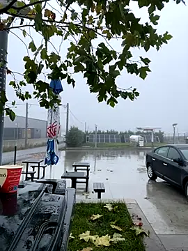 baramadalin online show from November 21, 2025, 5:28 am