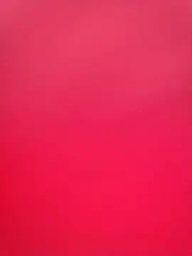 Snapshot of Pullet- chatting on March 23, 2025, 2:26 am Pullet- online show from March 23, 2025, 2:26 am