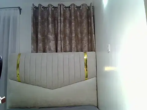 Snapshot of pretty_hearty chatting on February 15, 2026, 9:11 pm pretty hearty online show from February 15, 2026, 9:11 pm