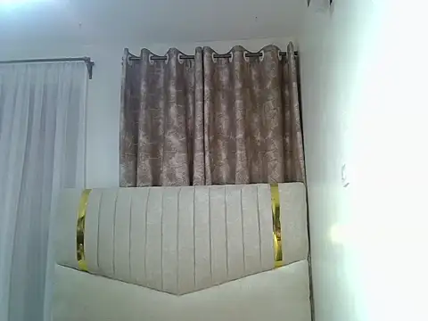 Snapshot of pretty_hearty chatting on February 17, 2026, 10:16 pm pretty hearty online show from February 17, 2026, 10:16 pm