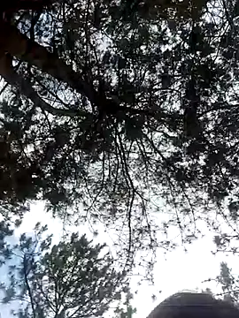 Sofia xx2 online show from February 27, 2025, 8:50 am