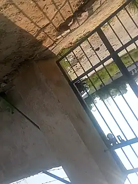 Snapshot of rjxraj chatting on October 23, 2025, 4:34 am rjxraj online show from October 23, 2025, 4:34 am