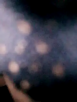 Hotpussy3ox online show from September 18, 2025, 8:05 am