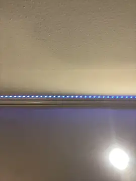 Snapshot of ThicBunz chatting on March 16, 2025, 9:58 pm ThicBunz online show from March 16, 2025, 9:58 pm