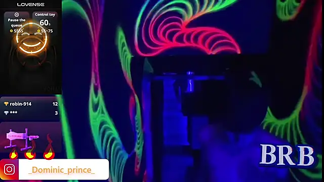 Snapshot of DominicPrince chatting on January 13, 2026, 4:12 pm DominicPrince online show from January 13, 2026, 4:12 pm