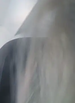 Linda 999 online show from September 19, 2025, 9:54 am