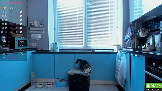 Snapshot of wwildfox chatting on March 16, 2026, 5:44 am wwildfox online show from March 16, 2026, 5:44 am