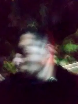 Snapshot of mis312 chatting on March 4, 2025, 1:45 am mis312 online show from March 4, 2025, 1:45 am