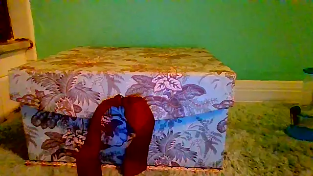 jorwee online show from September 16, 2025, 8:48 am