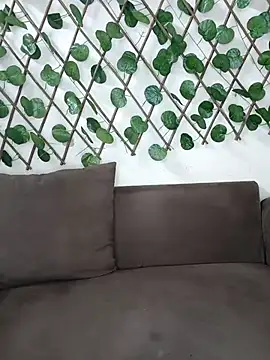 Bold-Cat online show from November 17, 2025, 4:46 pm