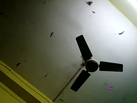 Sexyranibhabhi online show from December 14, 2025, 2:17 am